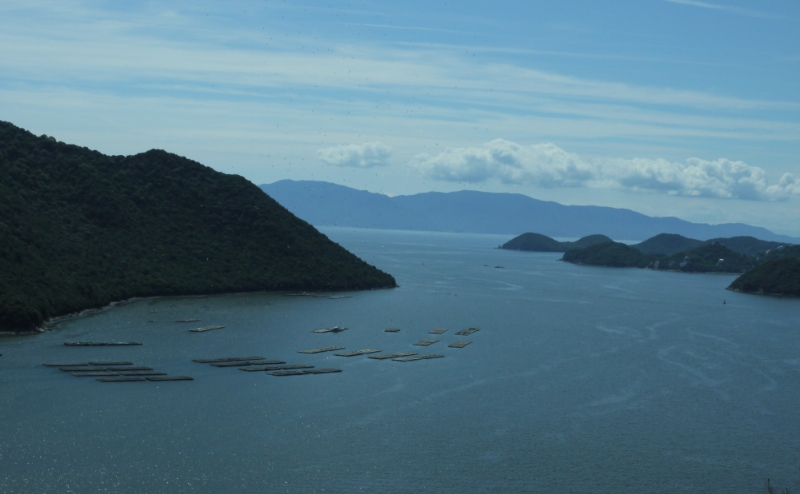 豊かな岡山の海