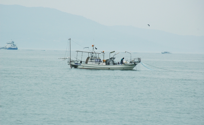 流し網漁業