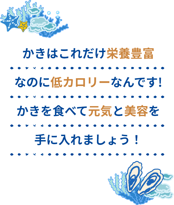 かきはこれだけ栄養豊富なのに低カロリーなんです!かきを食べて元気と美容を手に入れましょう！