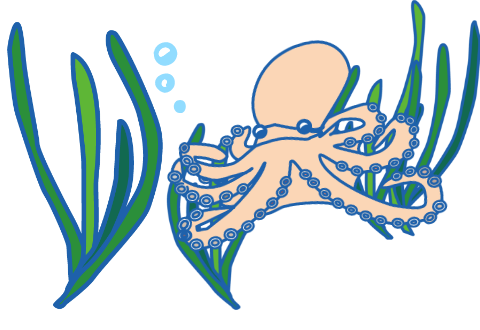 タコ