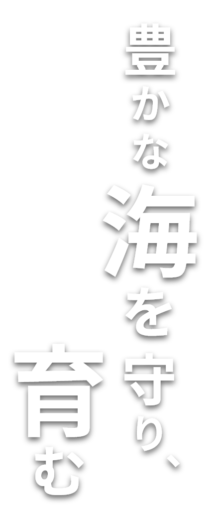 豊かな海を守り、育む