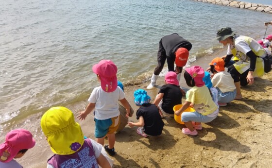 解析ツールに関するプライバシーポリシー