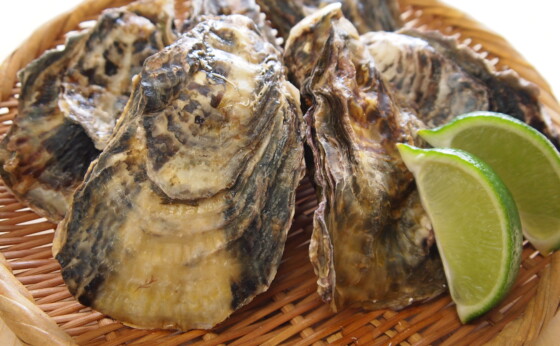 11/23「牡蠣の日」　試食＆販売会のお知らせ